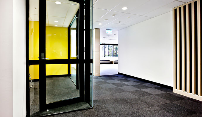 Clean carpet on high traffic area