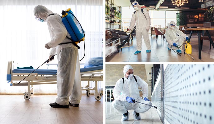 Collage of professional disinfection services across various commercial spaces including offices, restaurants and professional buildings