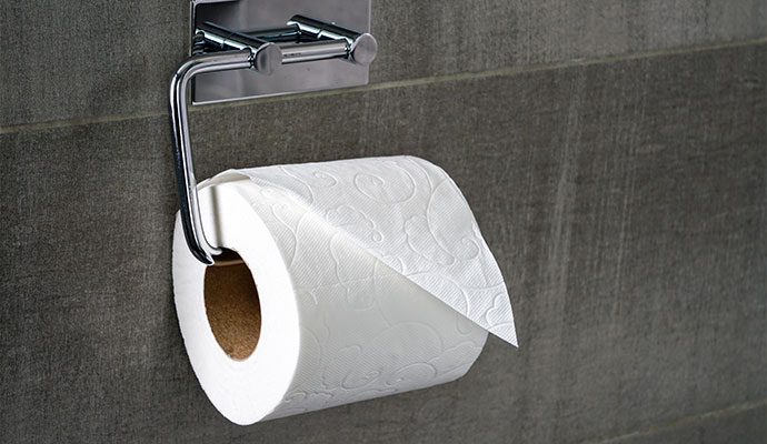 Fresh roll of toilet paper mounted on chrome restroom holder
